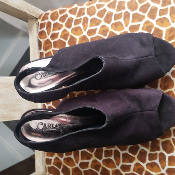 Carlos - Picture 7 of 11